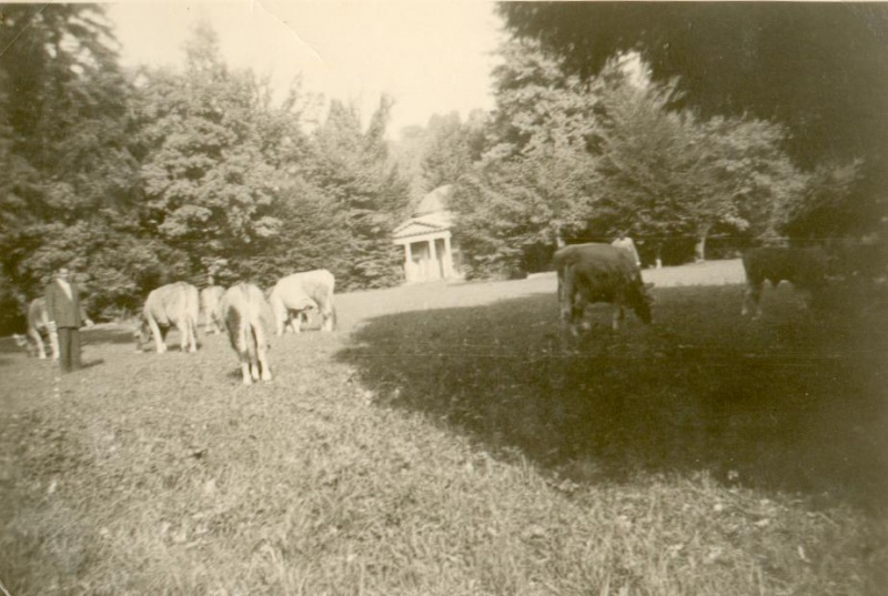 File:1952 Pascolo a Sombreno.jpg