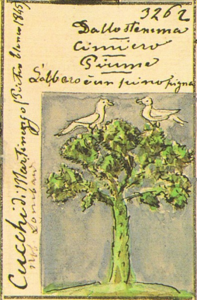 File:Cucchi Stemmario Camozzi 3262.jpg