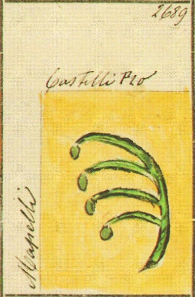 File:Mapelli Stemmario Camozzi 2689.jpg