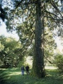 Miniatura della versione delle 16:33, 1 ott 2009