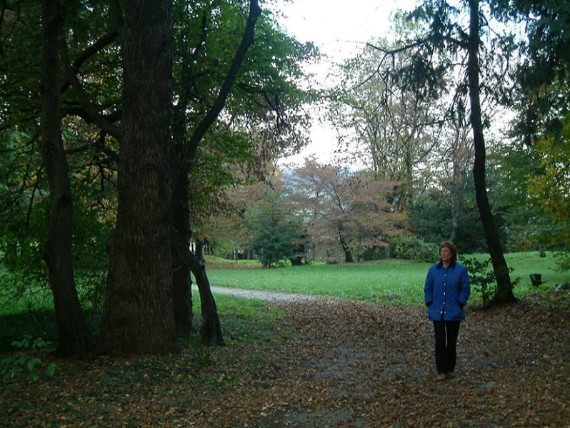 File:2004 7 novembre Giardino 01.jpg