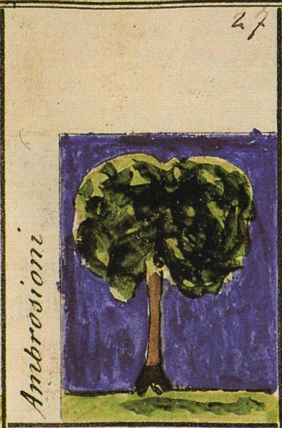 File:Ambrosioni Stemmario Camozzi 27.jpg