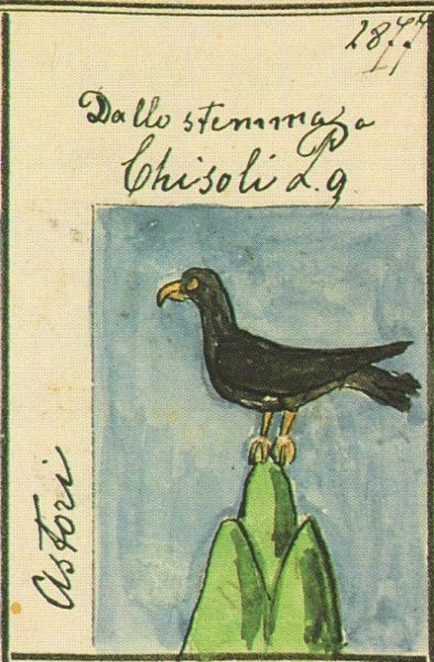 File:Astori Stemmario Camozzi 2877.jpg