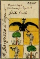 Miniatura della versione delle 23:35, 27 mag 2008