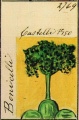 Miniatura della versione delle 19:56, 15 mar 2010