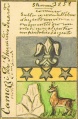 Miniatura della versione delle 17:07, 9 gen 2009