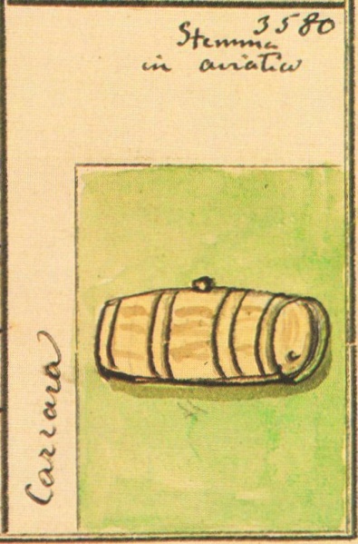 File:Carrara Stemmario Camozzi 3580.jpg