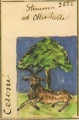 Miniatura della versione delle 22:05, 10 ago 2010