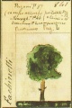 Miniatura della versione delle 19:33, 8 set 2010
