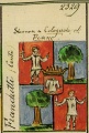 Miniatura della versione delle 18:45, 25 ott 2010