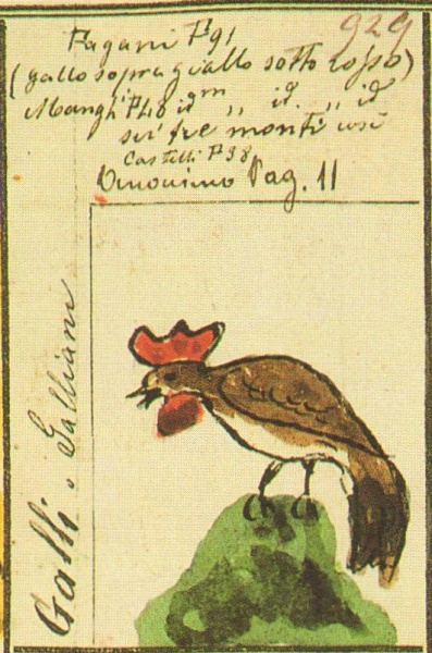 File:Galli Stemmario Camozzi 929.jpg