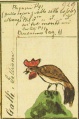 Miniatura della versione delle 17:22, 17 nov 2010