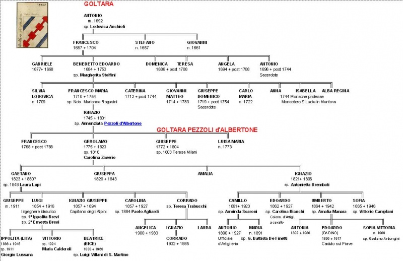 File:Goltara genealogia sintetica.jpg