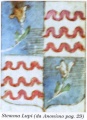 Miniatura della versione delle 23:21, 20 ott 2007