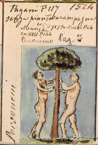 File:Personeni Stemmario Camozzi 1524.jpg