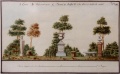 Miniatura della versione delle 16:11, 28 mag 2010