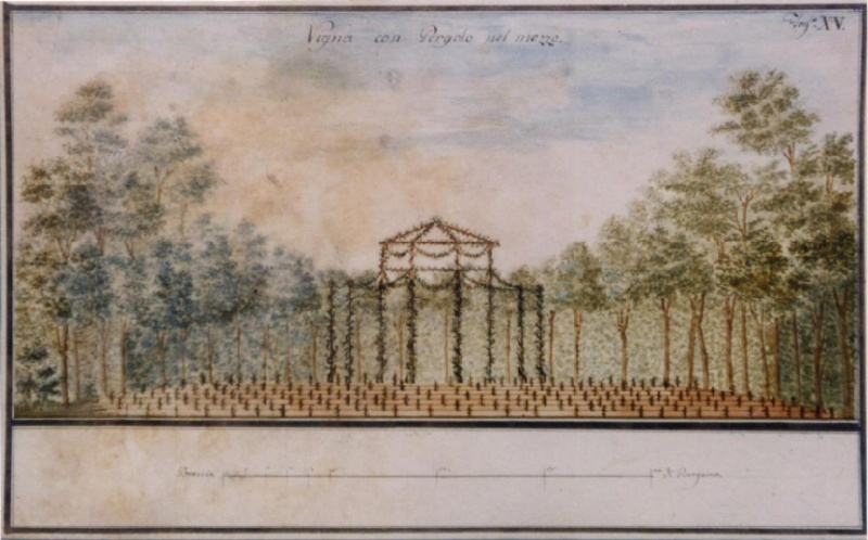 File:Pollach Progetto 19.jpg