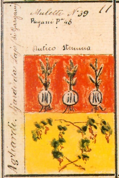 File:Stemmario Camozzi 0011 (Stemma antico).jpg